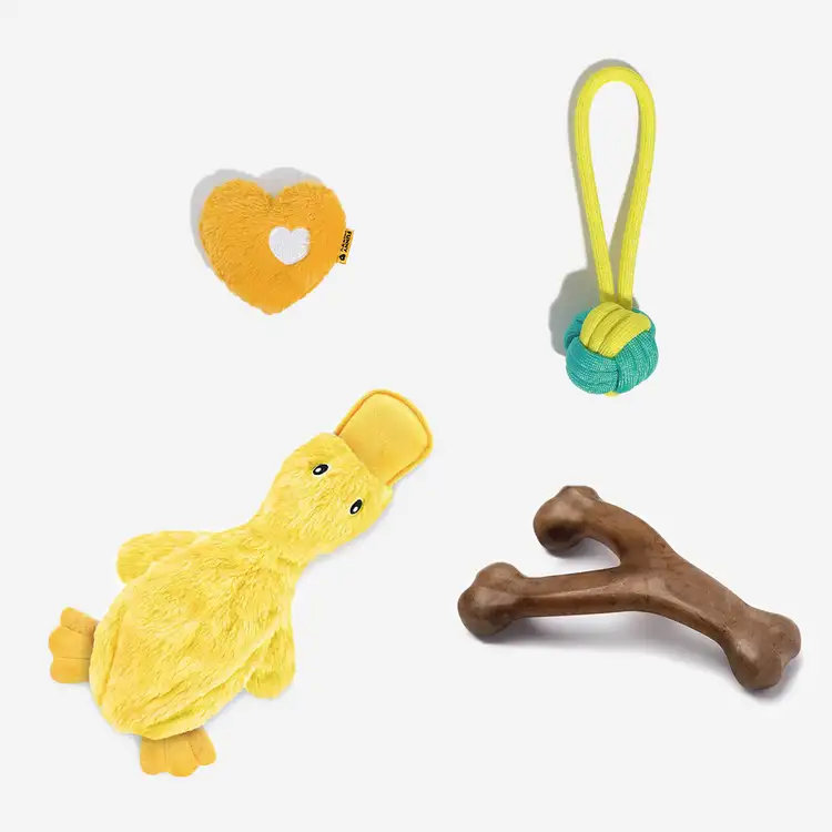 Interactive Cute Dog Chew Toy Set - Playful Fun - Holidayae