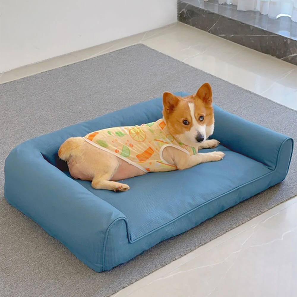 Waterproof Oxford Removable Washable Bolster Dog Sofa Bed - Holidayae