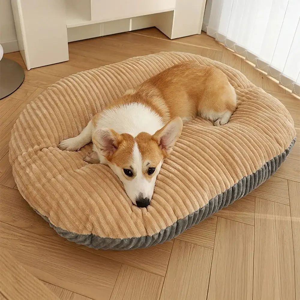 Pet Beds & Blankets - Holidayae