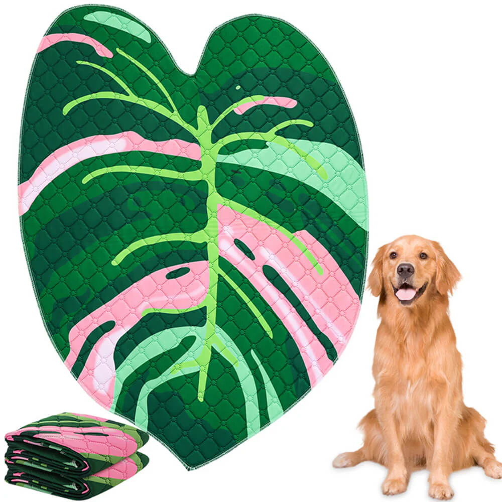 Reusable Absorbent Washable Non-Slip Dog Pee Pad - Holidayae