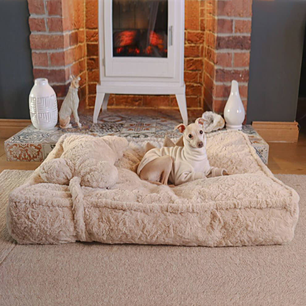 Warming Fluffy Bone Cloud Shape Calming Dog Bed - Holidayae