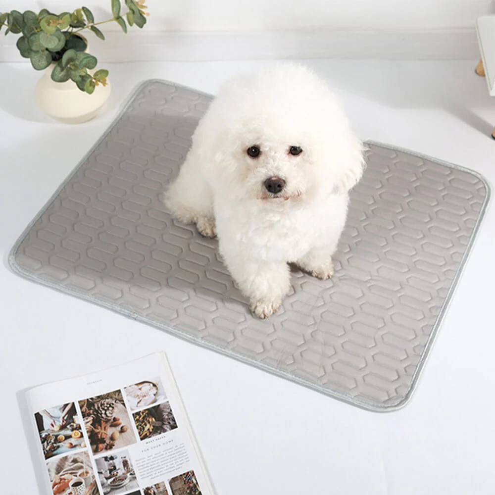 Cooling Washable Non-Slip Breathable Ice Silk Dog & Cat Mat - Holidayae