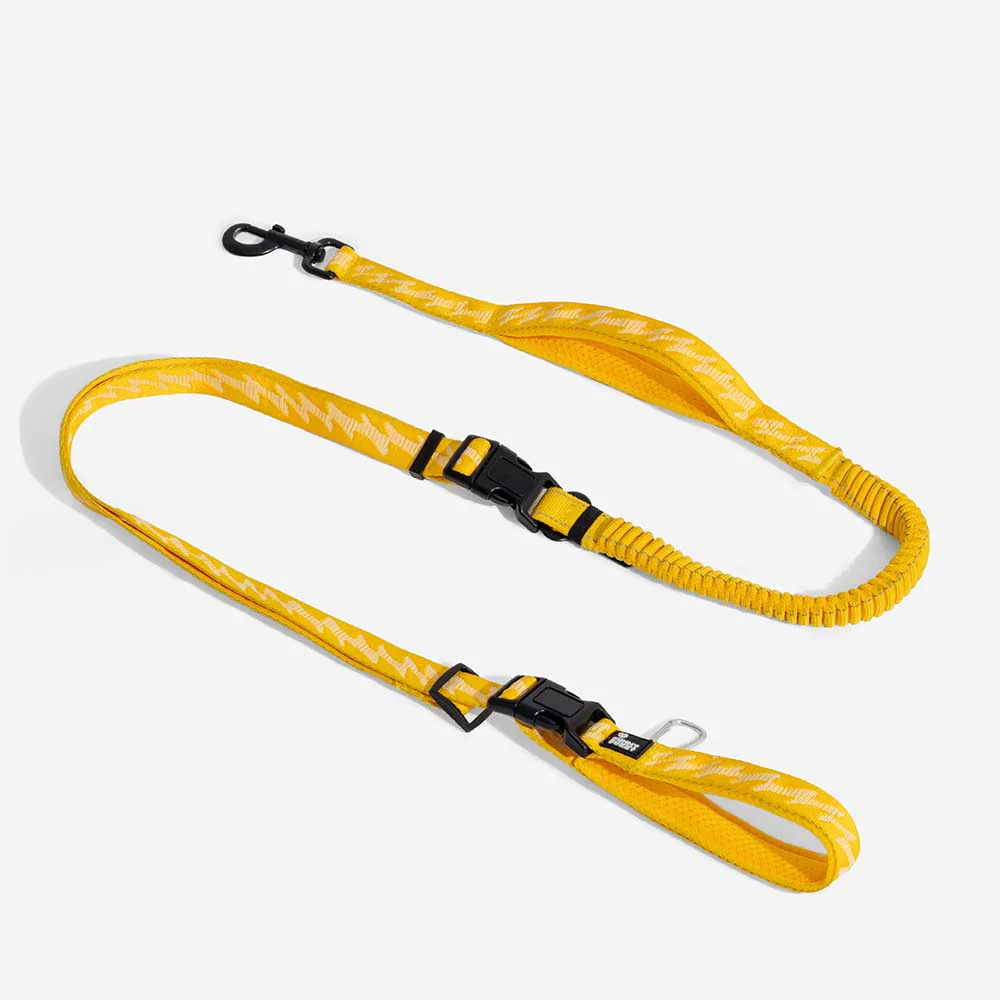 Dual-sided Reflective Adjustable Versatile Soft Handle Nylon Large Dog Leashes - Flexi Walker - Holidayae