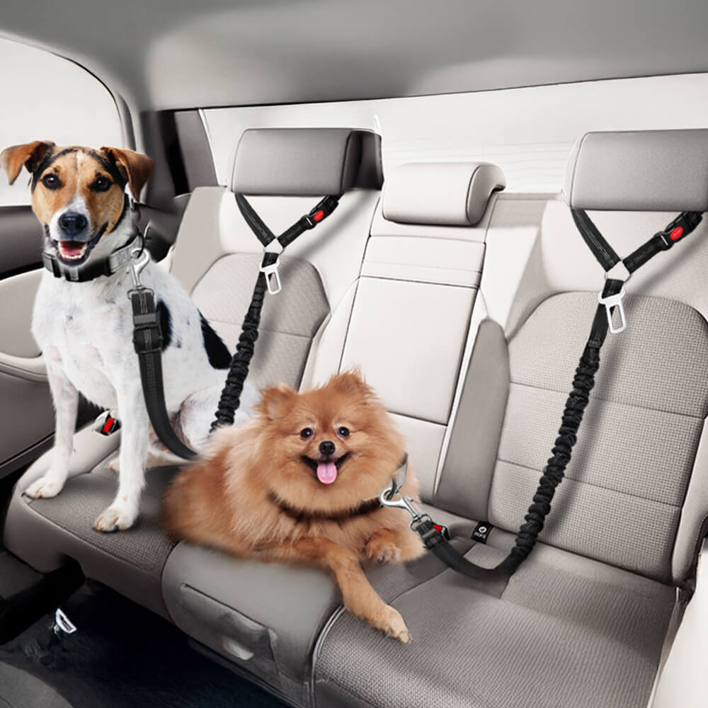 Dog Car Seat Belt for Vehicle Headrest - Holidayae