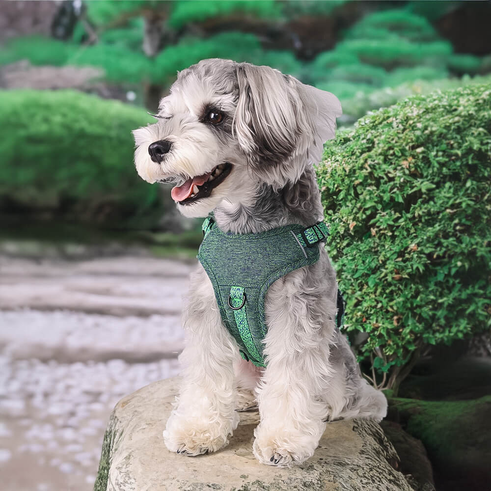 Eco-friendly Recycled Fabric No-Pull Dog Harness/Leash - Holidayae