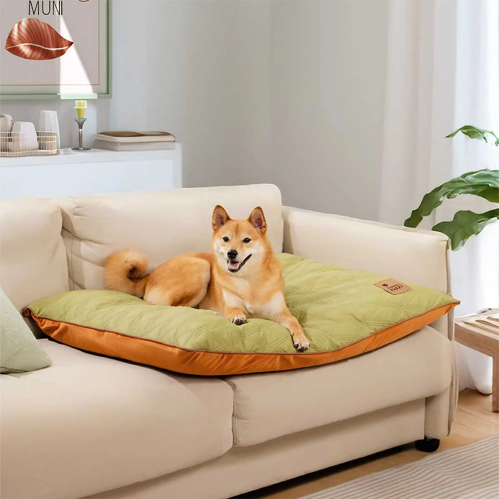 Luxury Water-repellent Dual-Sided Calming Dog Mat - Holidayae