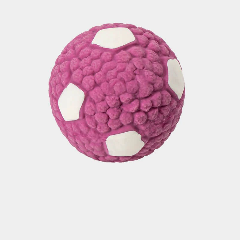 Pet Latex Squeaky Ball Toy Durable Interactive Dog Chew Toy - Holidayae