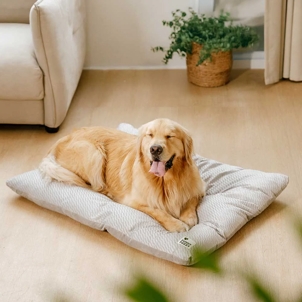Dual-Sided Cozy Plush Calming Washable Dog Mats - Holidayae