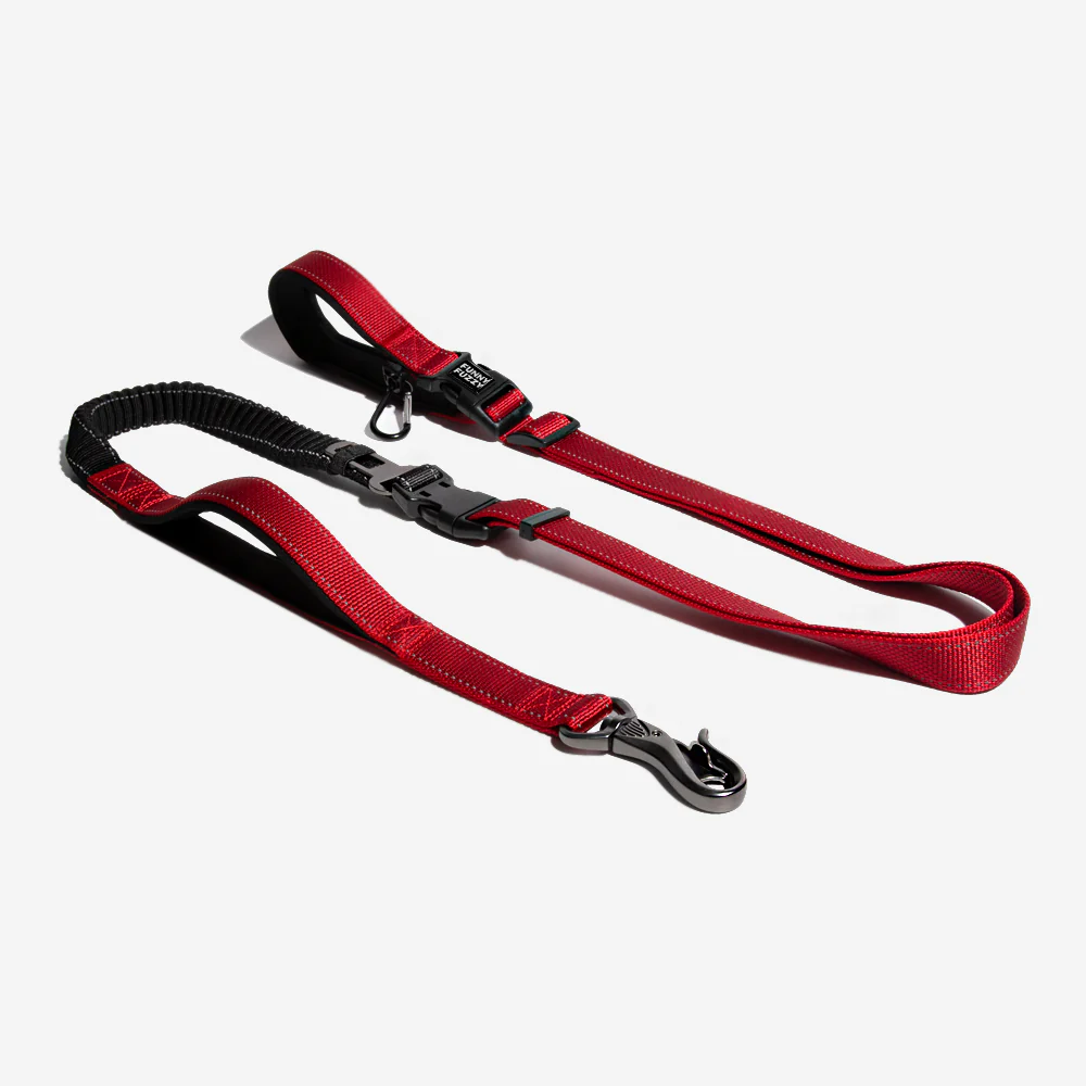 Multifunction Hands Free Dog Leash With Safety Seat Belt - Holidayae