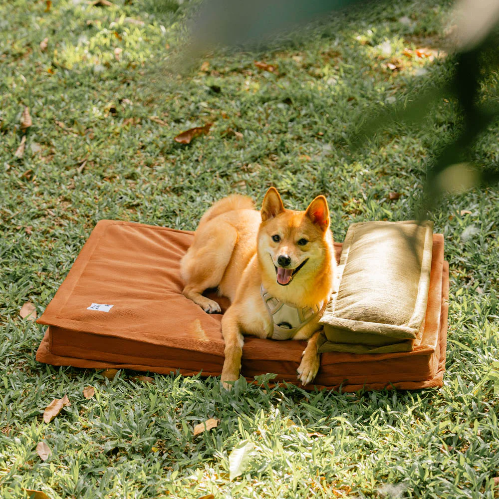 Anti-Anxiety with Sponge Support Deep Sleeping Dog Bed - Holidayae