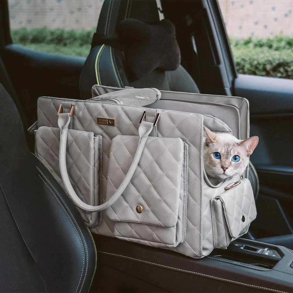 Large Carrying Stylish Multi-Functional Human-Cat Shared Travel Cat Bag - Wandering Tail - Holidayae