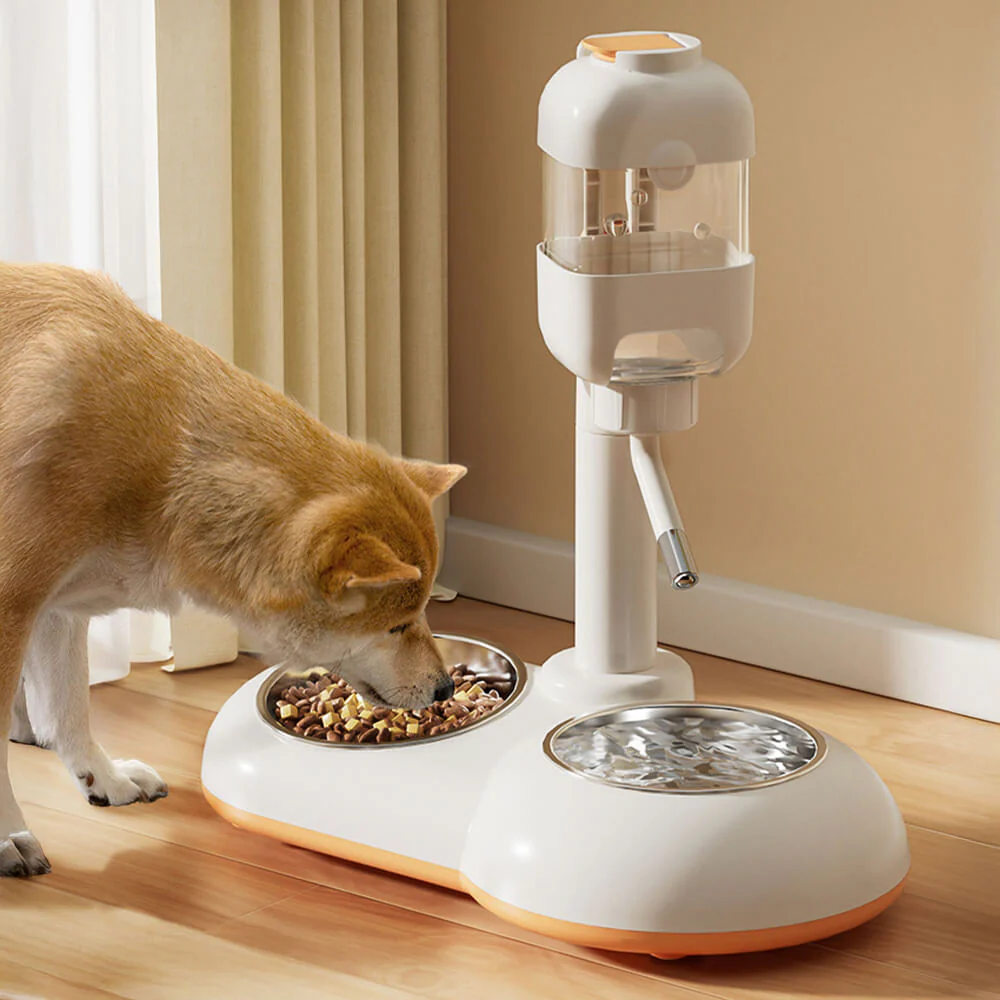 Pet Feeding Bowl Station Food Dispenser With Automatic Water - Holidayae