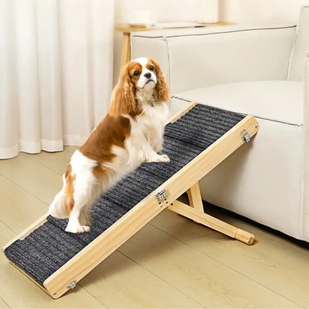 Wooden Dog Ramp 4 Levels Height Adjustable Foldable Dog Stairs - Holidayae