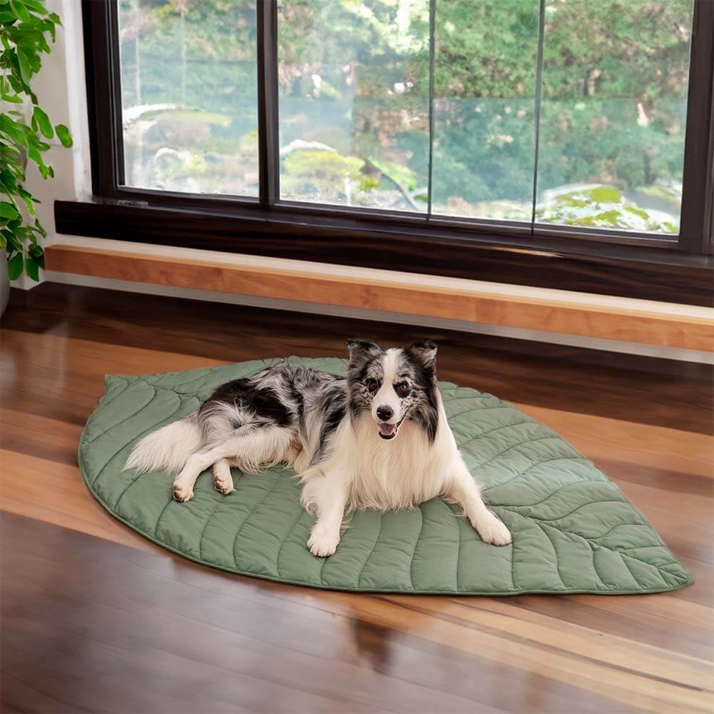 Super Large Leaf Shape Human Mat Dog Blanket - Holidayae