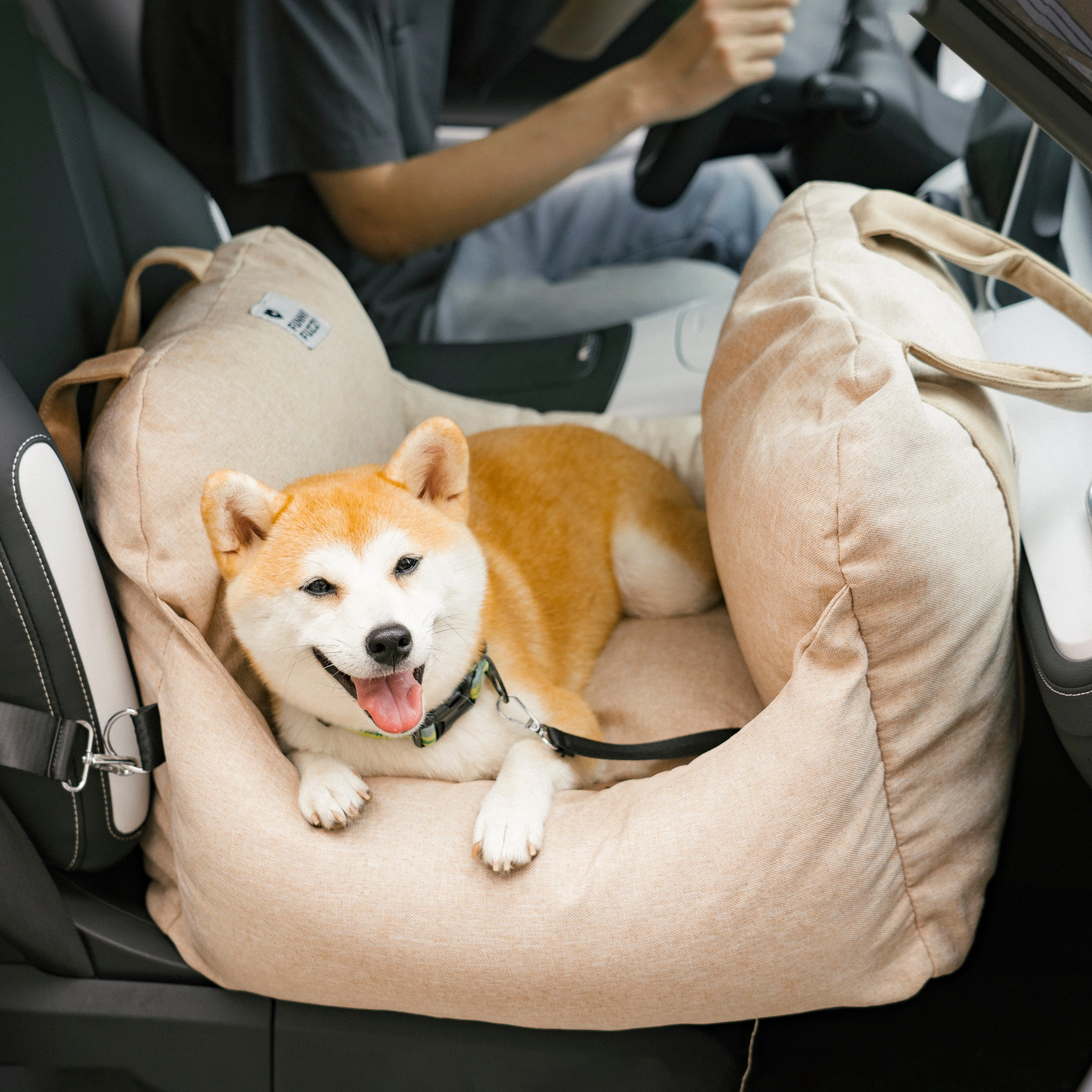 Travel Safety Puppy Dog Car Seat Bed - First Class - Holidayae