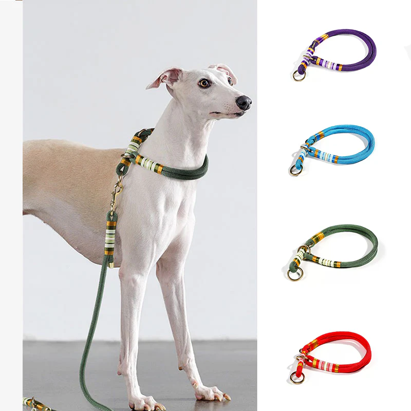 Hand-knitted Braided Rope No Pull Cool Dog Accessories Training Collar - Holidayae