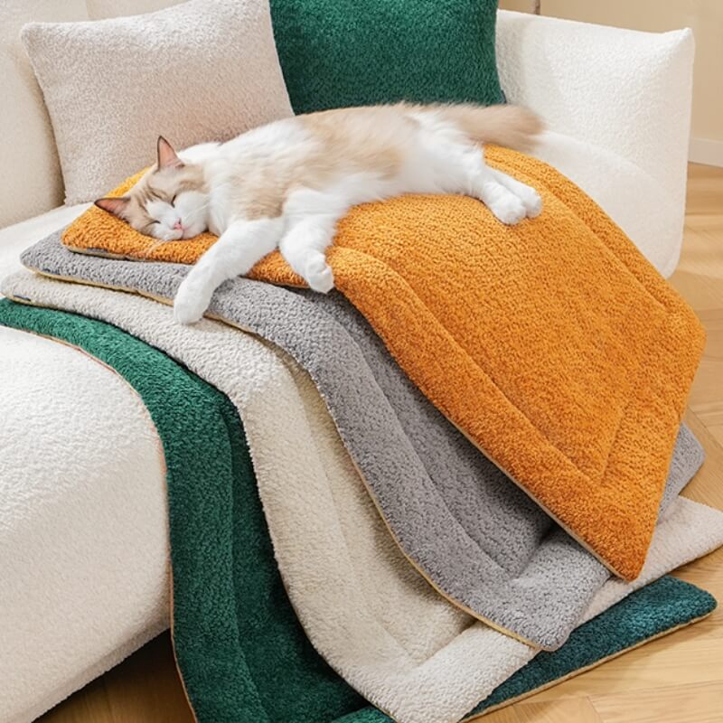 Warm Comfortable Non-slip Plush Pet Mat - Holidayae