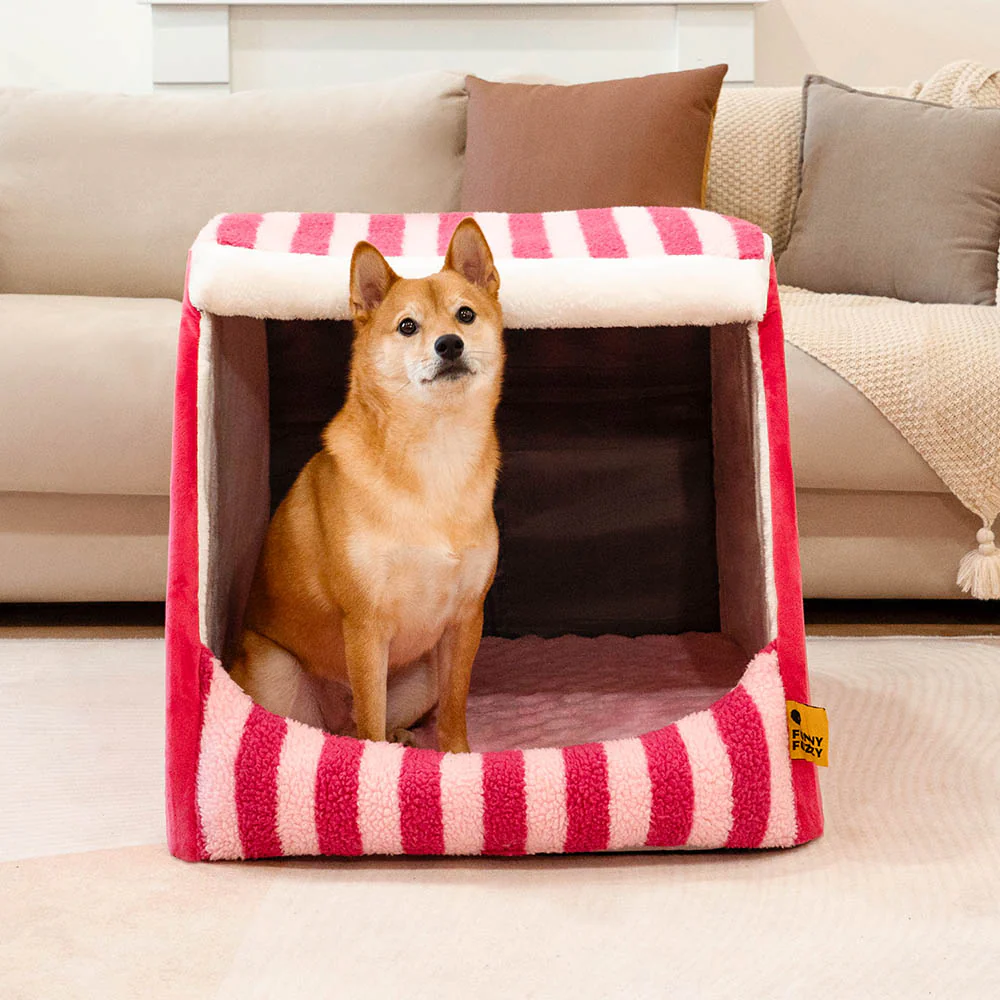 Trendy Striped House Orthopedic Dog Bed - Cozy Hideaway - Holidayae