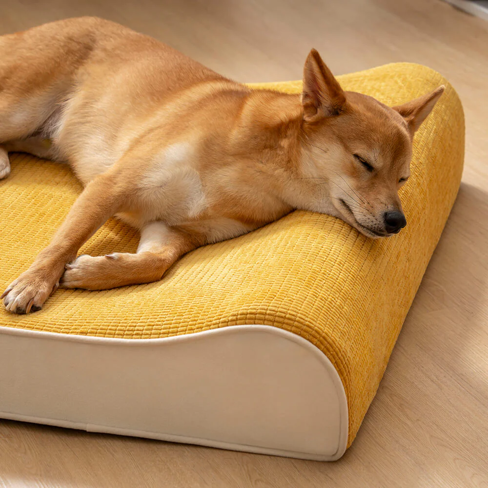 Luxurious Nobility Dog Lounge Chair Orthopedic Dog Bed - Holidayae