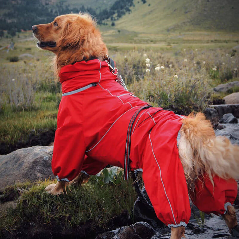 Large Dog Outdoor Jacket Waterproof Adjustable Dog Rain Coat - Holidayae