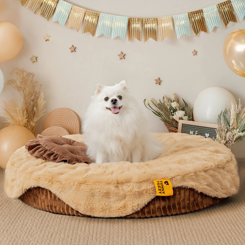 Fluffy Cake-Shaped Detachable Plush Orthopedic Pet Bed  C DreamBake - Holidayae