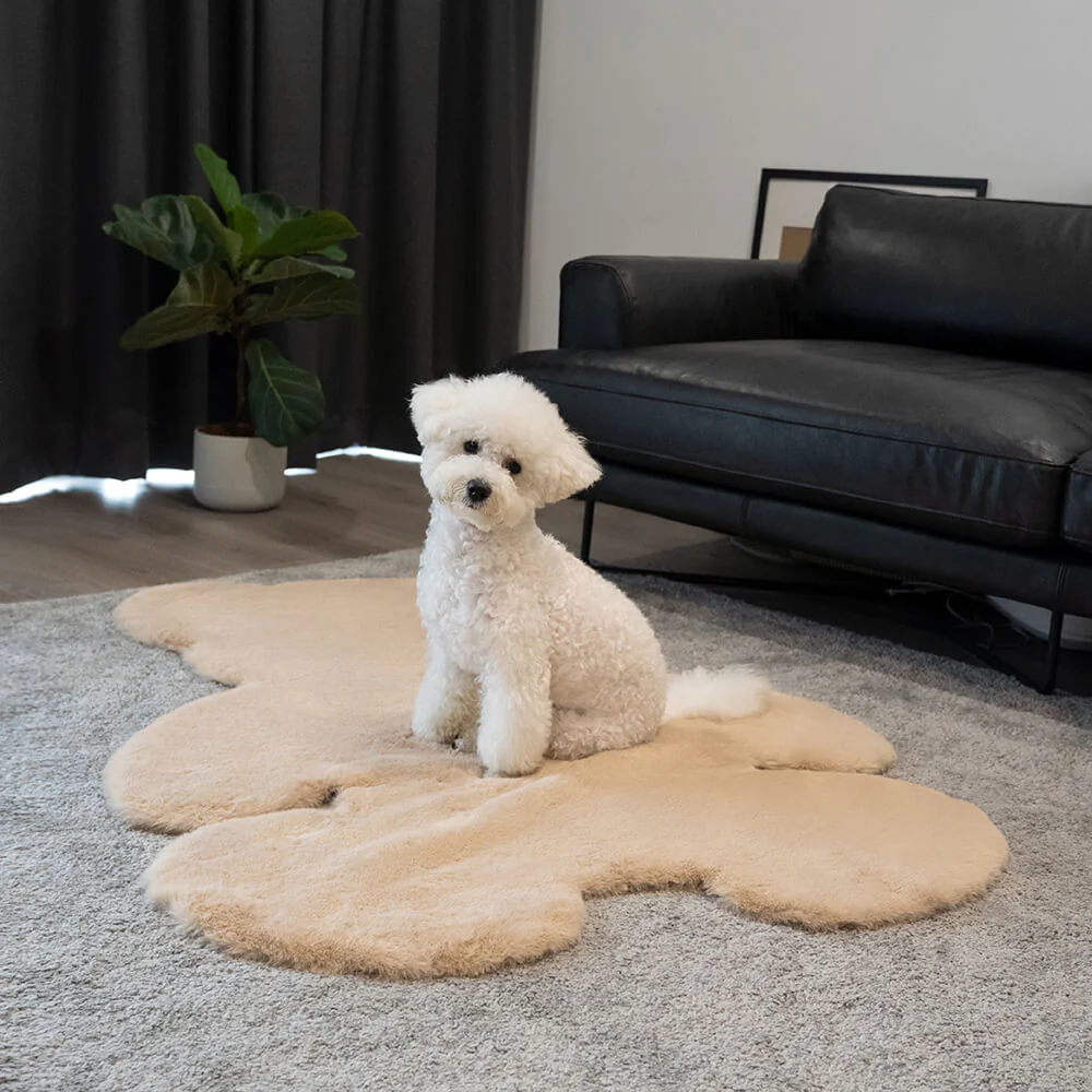Teddy Bear Shaped Fluffy Large Pet Mat - Holidayae