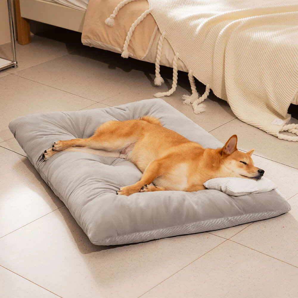 Dual-Sided Cozy Plush Washable Calming Dog Mat - Holidayae