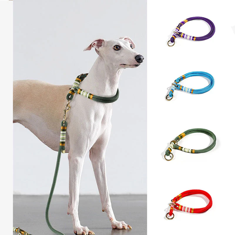Hand-knitted Braided Rope No Pull Cool Dog Accessories Training Collar - Holidayae