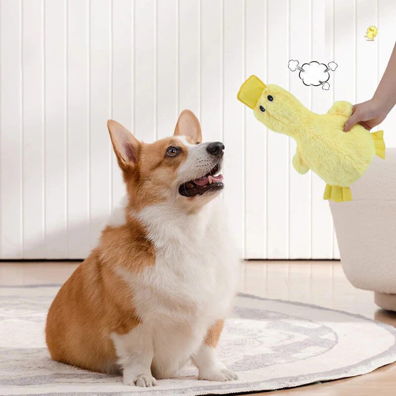 Cute Duck Plush Toy With Squeaker Dog Chew Toy - Holidayae