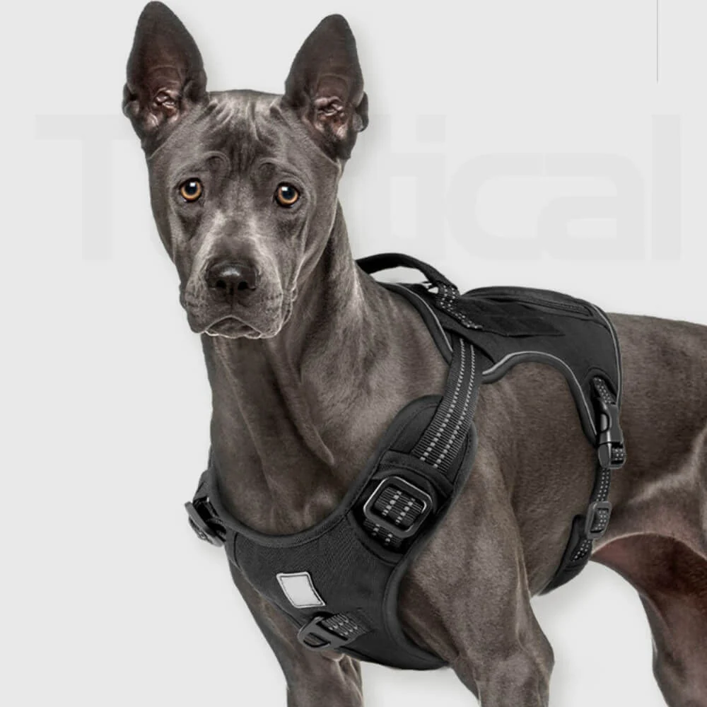 Tactical Heavy No Pull Easy On-Off Dog Harness - Holidayae