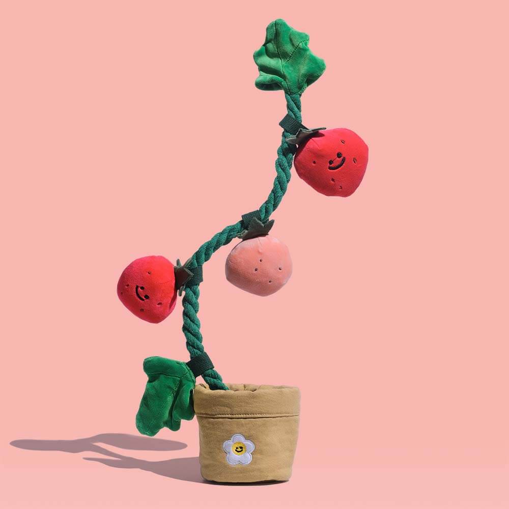 Plush Squeaky Dog Toy - Strawberry Potted - Holidayae