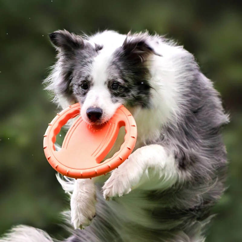 Steering Wheel Rubber Throw Toy Interactive Dog Flying Disc - Holidayae