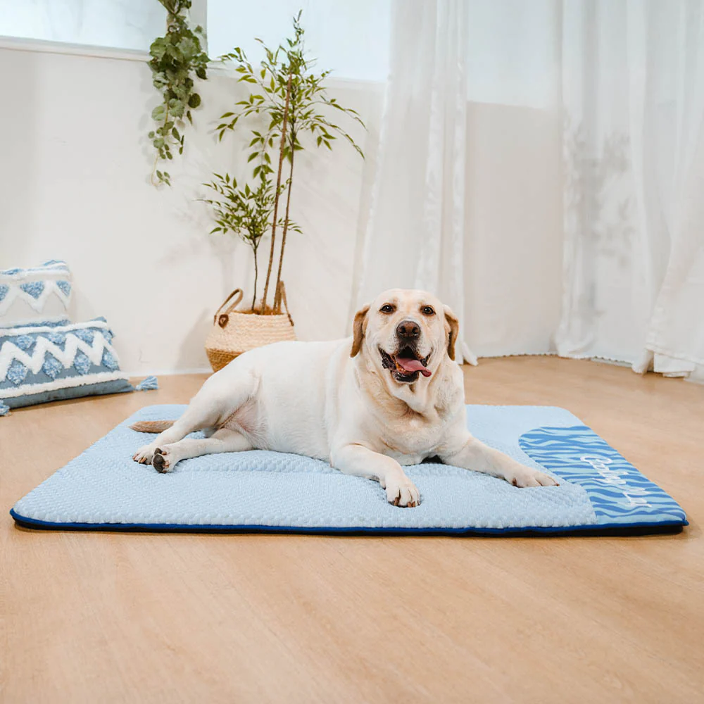 Large Washable Cooling Non-slip Dog Mat - Cooling Nap - Holidayae