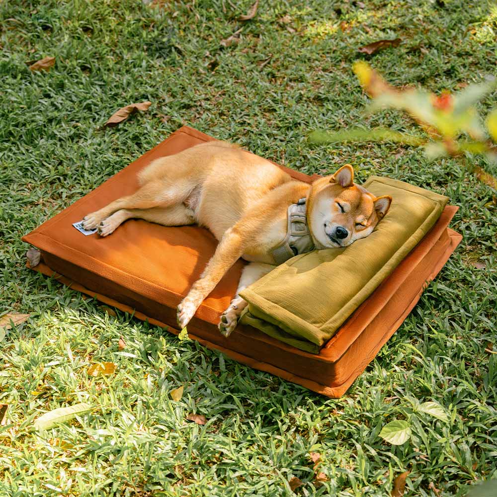 Anti-Anxiety with Sponge Support Deep Sleeping Dog Bed - Holidayae