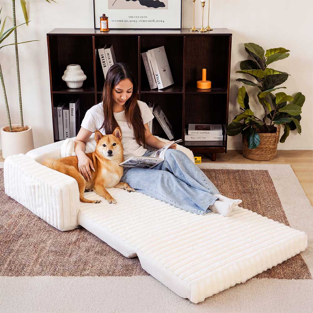 Plush Fluffy Large Orthopedic Human-Dog Bolster Bed - Holidayae