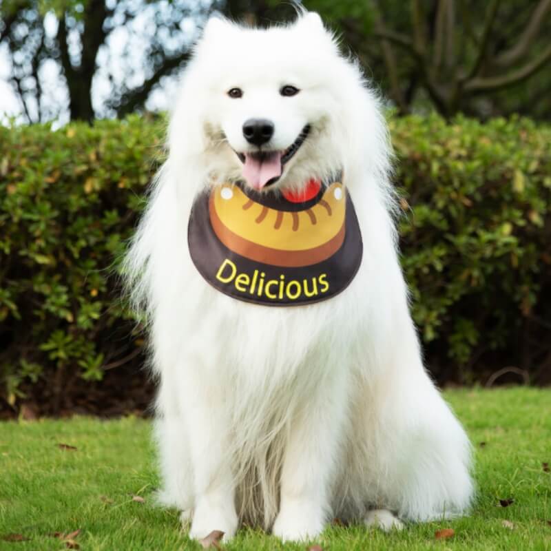 Pet Neckerchief Waterproof Cool Dog Accessories Drool Bib-Sausage - Holidayae