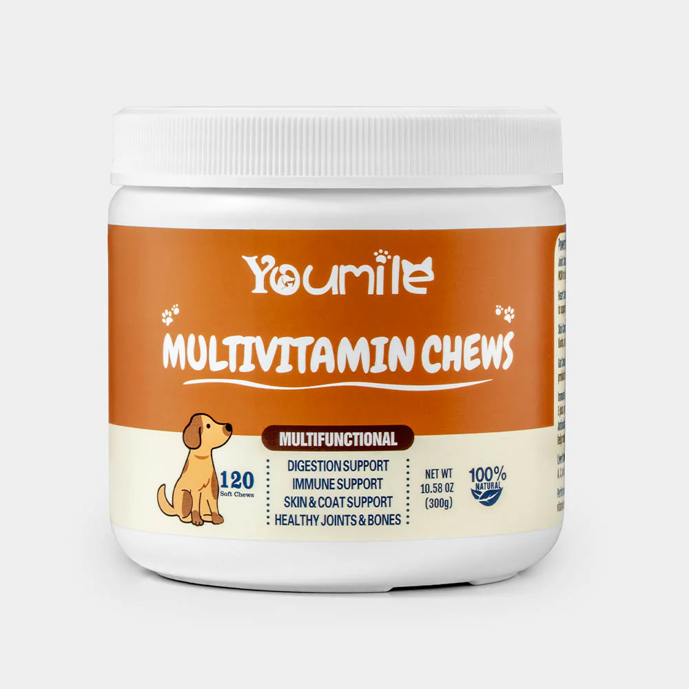 Dog Multivitamin Treats for Immune Health and Skin & Coat Support - 120 Count - Holidayae