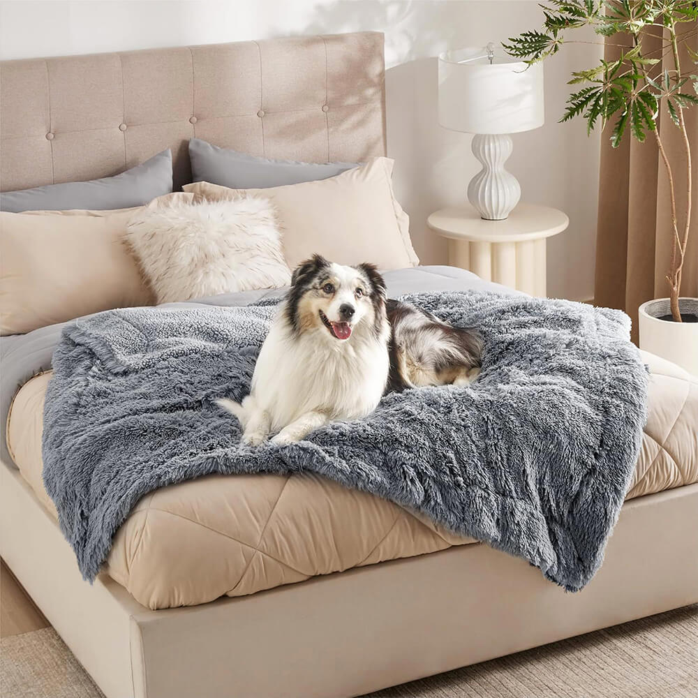 Luxurious Waterproof Plush Warm Multi-Purpose Home Dog Blanket - Holidayae