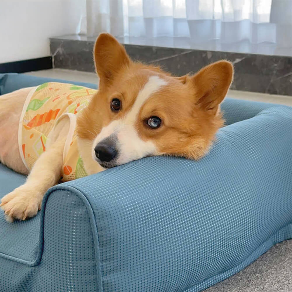 Waterproof Oxford Removable Washable Bolster Dog Sofa Bed - Holidayae