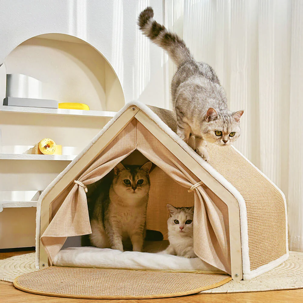 All-in-One Cat Tent with Scratching Roof and Cozy Sleeping Area - Holidayae