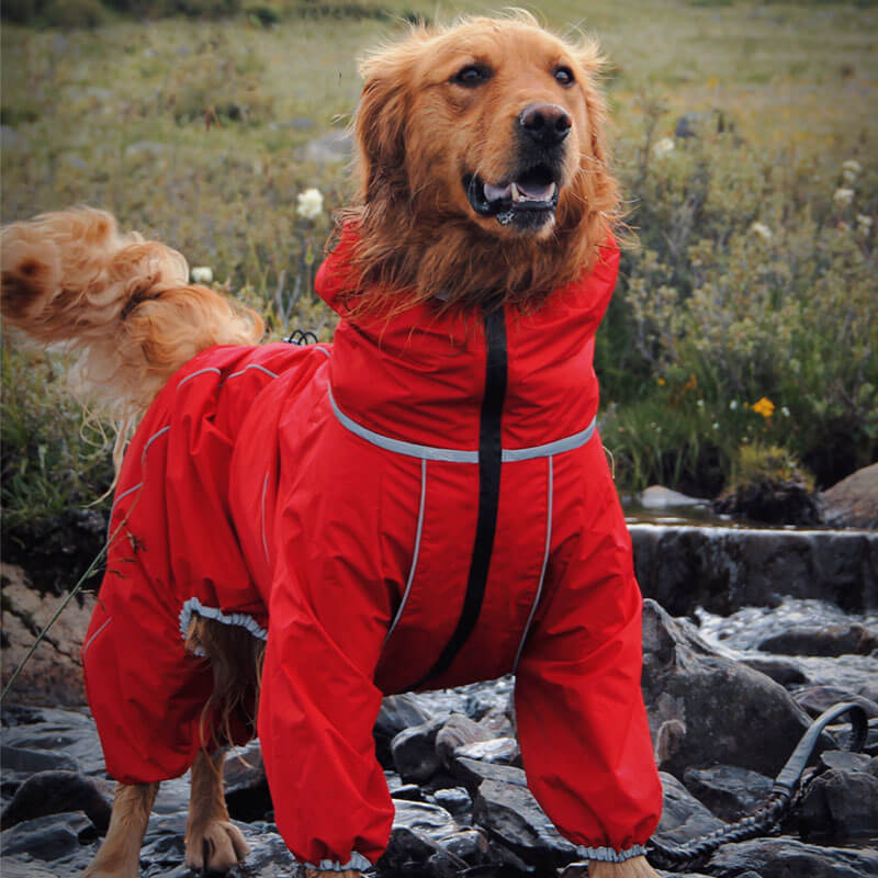 Large Dog Outdoor Jacket Waterproof Adjustable Dog Rain Coat - Holidayae