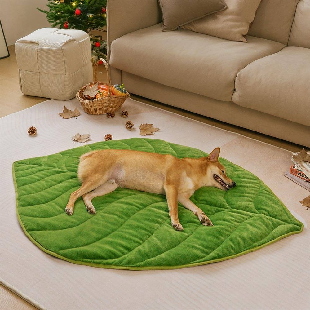 Plush Leaf-Shaped Washable Dog Mat-The Leaf Collector - Holidayae
