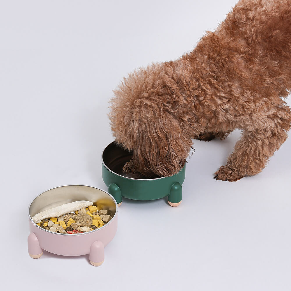 Dog Bowl - Tetrapod - Holidayae