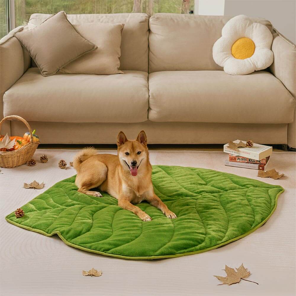 Plush Leaf-Shaped Washable Dog Mat-The Leaf Collector - Holidayae