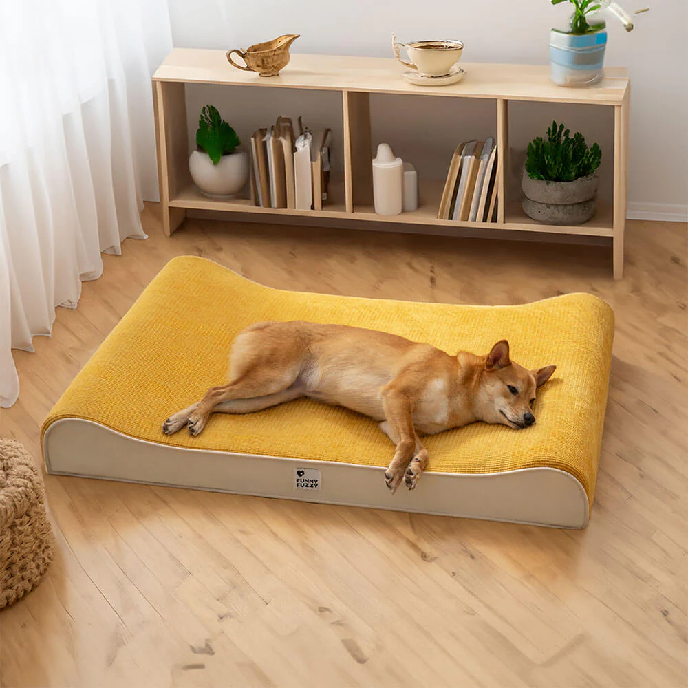 Luxurious Nobility Dog Lounge Chair Orthopedic Dog Bed - Holidayae