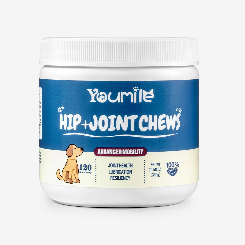 Hip & Joint Supplement Dog Chews (120 Count) | Mobility Support Supplement for Healthy Joints - Holidayae