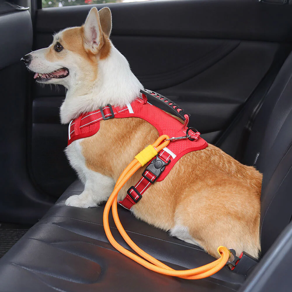 Anti-pull Nylon Dog Car Seat Safety Belt - Holidayae