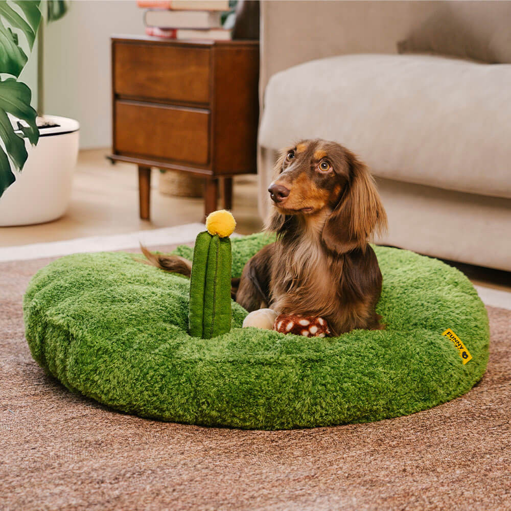 Jungle Explorer 2 in 1 Funny Plush Pet Bed - Nature Park - Holidayae