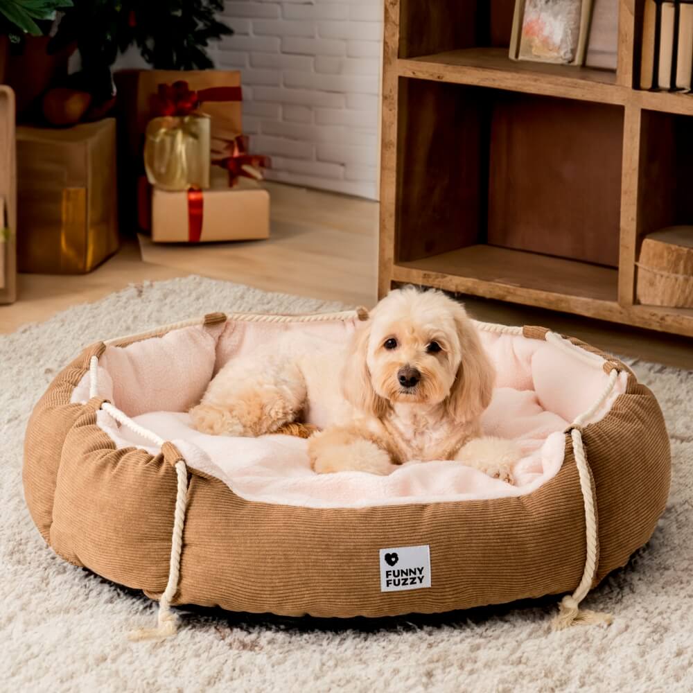 Playful Pull Rope Pet Bed Adjustable Chew-Resistant Dog & Cat Bed - Holidayae