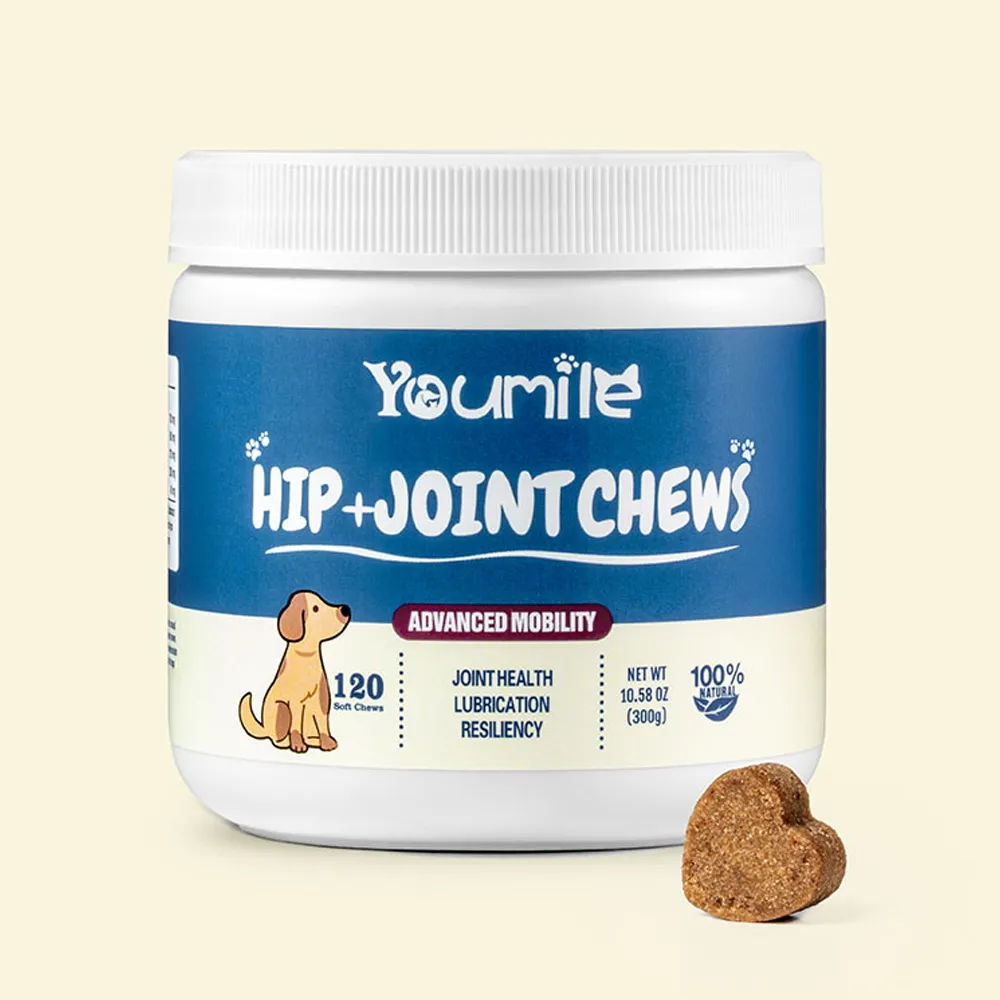 Hip & Joint Supplement Dog Chews (120 Count) | Mobility Support Supplement for Healthy Joints - Holidayae